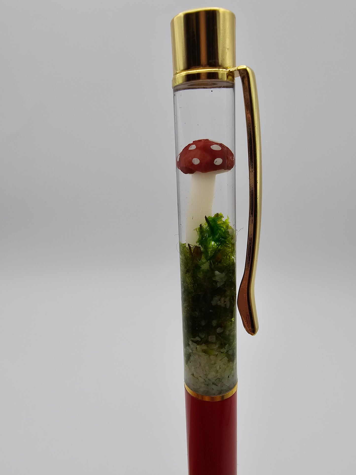 Terrarium Mushroom Pen