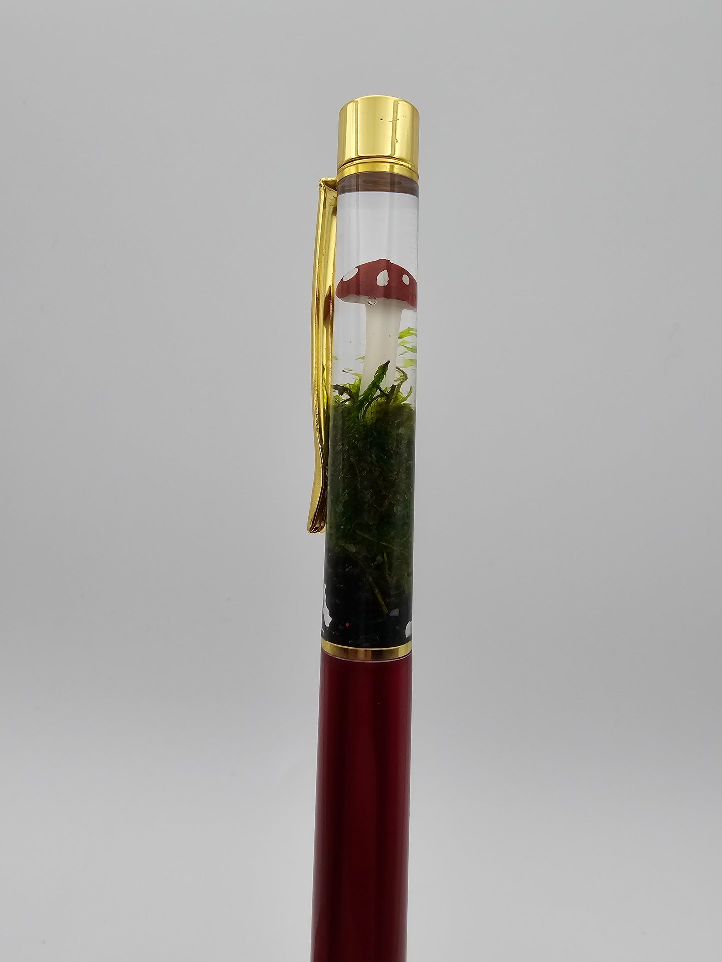 Terrarium Mushroom Pen