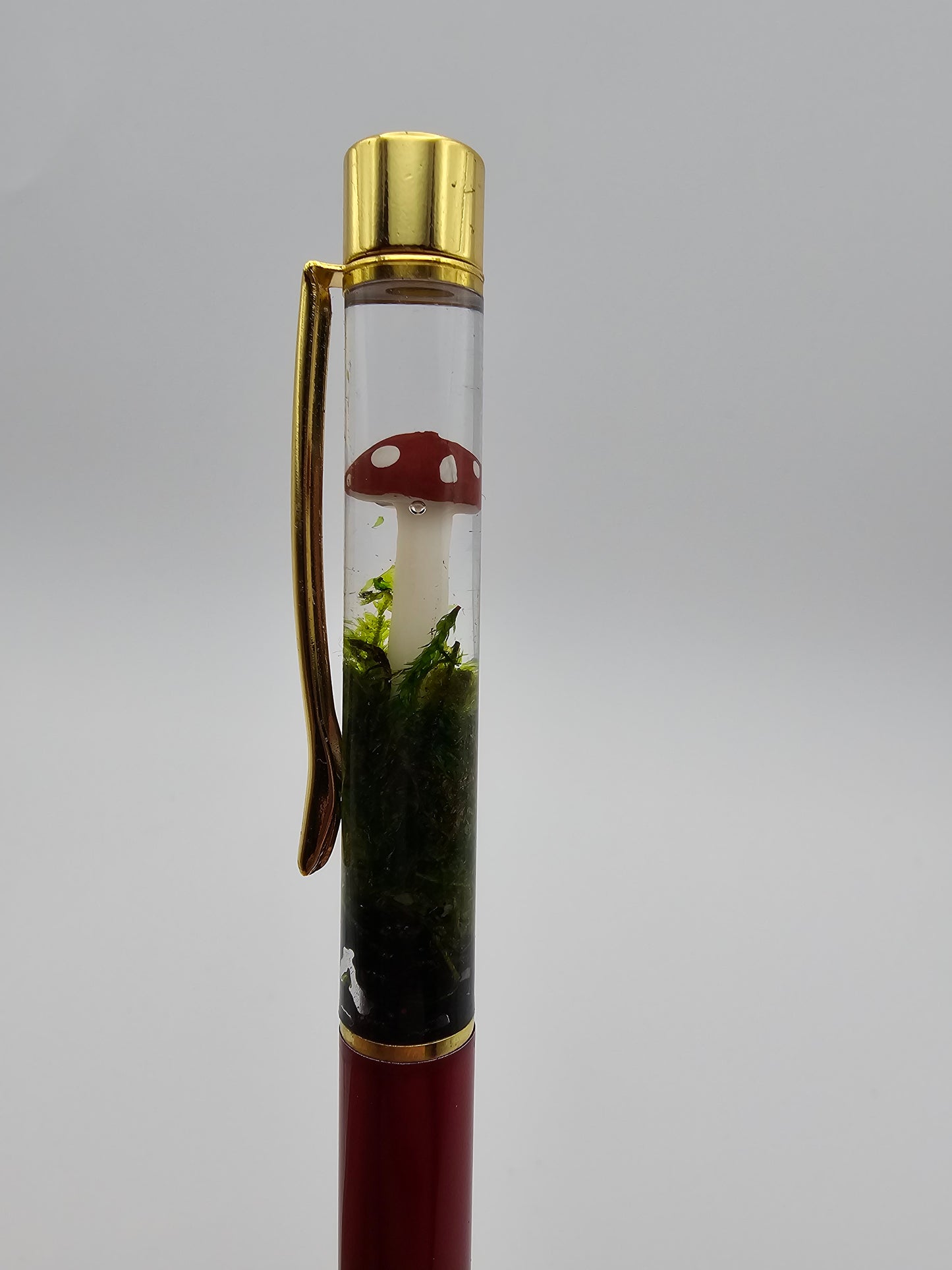 Terrarium Mushroom Pen
